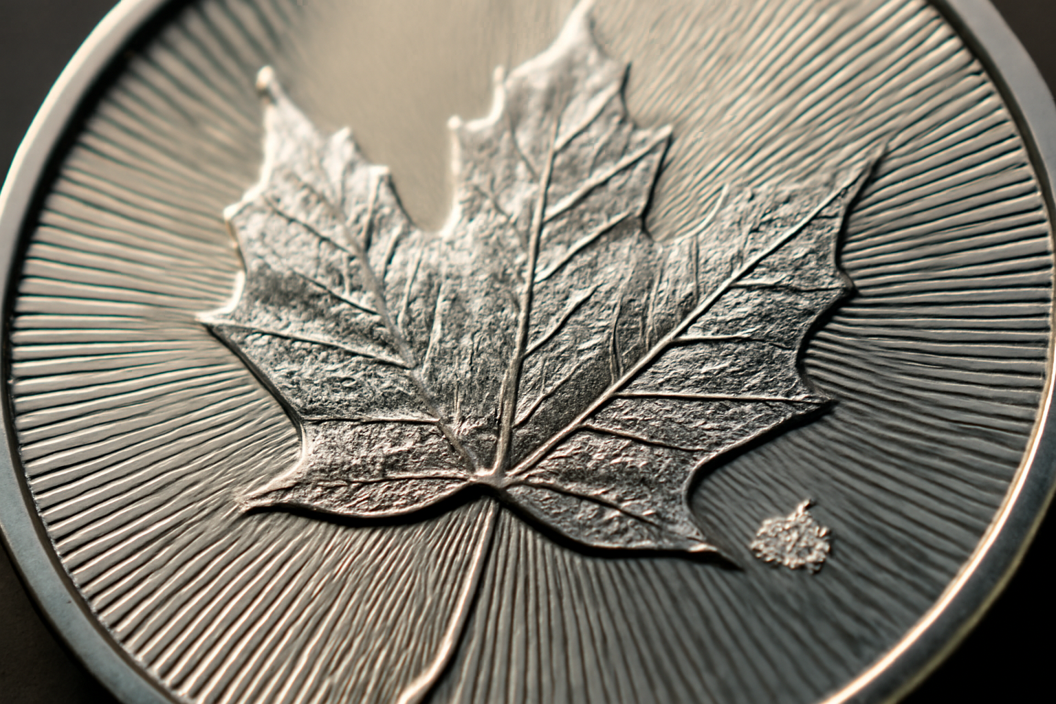 Close-up of Canadian Maple Leaf coin security features (radial lines and micro-engraved maple)